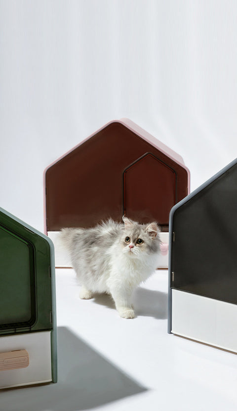 Enclosed Cat Litter House