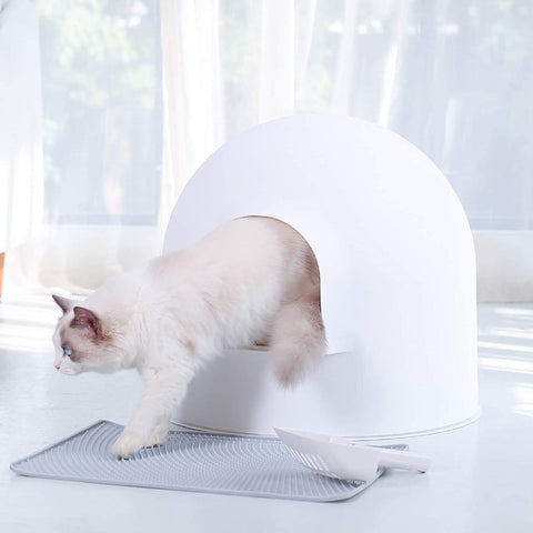 Igloo Cat Litter