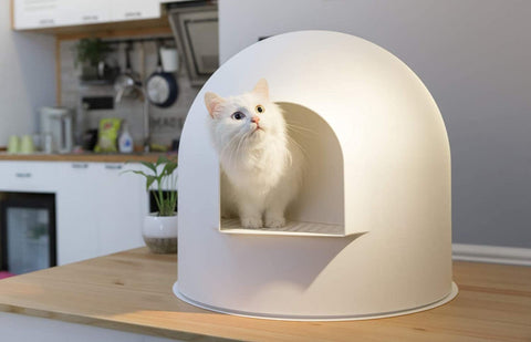 Igloo Cat Litter