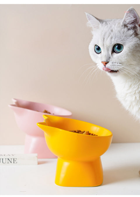Neck Protection Pet Bowls Set