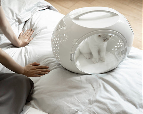 Capsule Bag for Pet