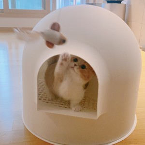Igloo Cat Litter