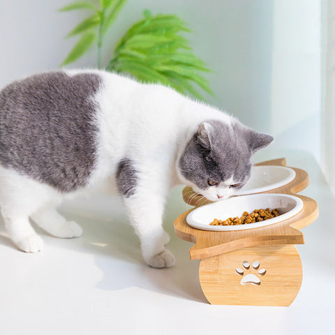 Elevated Pet Feeder