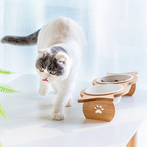 Elevated Pet Feeder