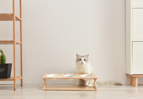 Elevated Pet Feeder - 3 bowls